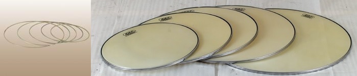 Calfhead mounted on flesh hoop for philharmonic 20” (for timpani with clamps)